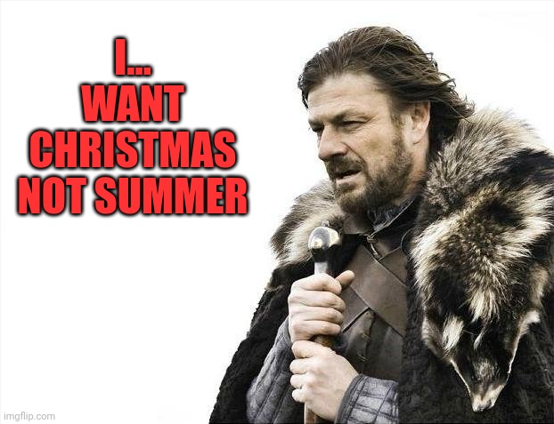 Brace Yourselves X is Coming | I... Want Christmas not summer | image tagged in memes,brace yourselves x is coming | made w/ Imgflip meme maker