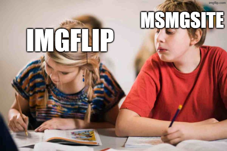 Two Websites | msmgsite; imgflip | image tagged in copying homework,memes,imgflip,msmgsite | made w/ Imgflip meme maker