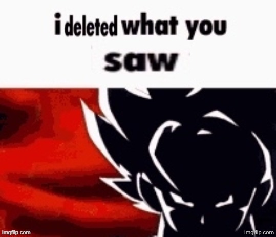 I deleted what you saw | image tagged in i deleted what you saw | made w/ Imgflip meme maker