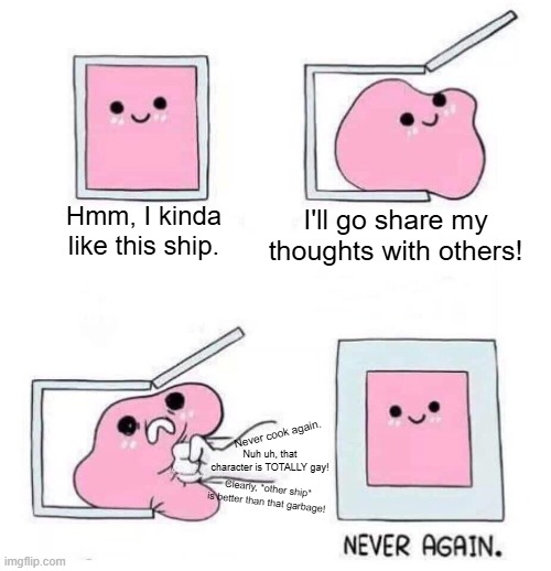 Never again | Hmm, I kinda like this ship. I'll go share my thoughts with others! Never cook again. Nuh uh, that character is TOTALLY gay! Clearly, *other ship* is better than that garbage! | image tagged in never again | made w/ Imgflip meme maker