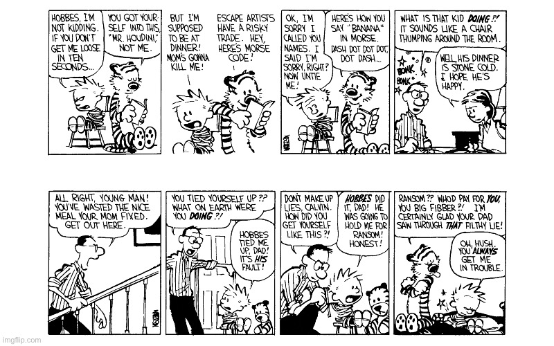 IMG_5550.jpeg | image tagged in calvin and hobbes,comics | made w/ Imgflip meme maker