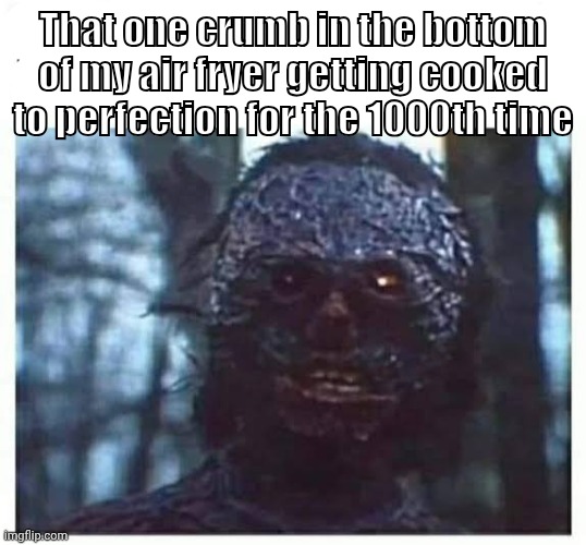 or toaster ig | That one crumb in the bottom of my air fryer getting cooked to perfection for the 1000th time | image tagged in burnt cheese,food,relatable,burnt toast,why are you reading the tags | made w/ Imgflip meme maker