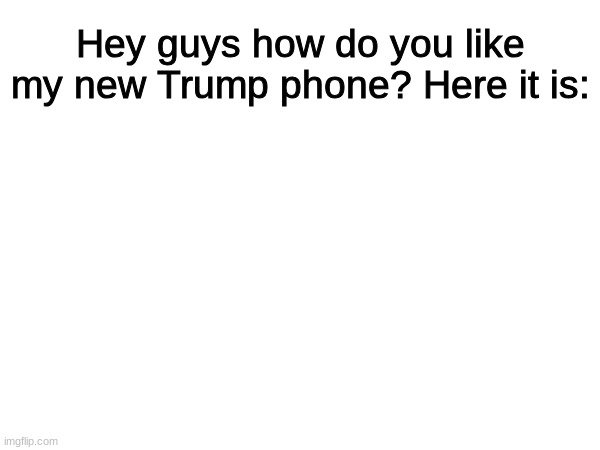 . | Hey guys how do you like my new Trump phone? Here it is: | image tagged in trump phone,meme,empti | made w/ Imgflip meme maker