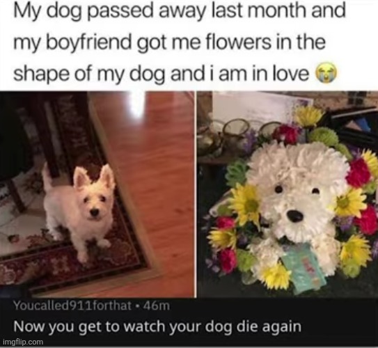 image tagged in comments,cursed,dogs,dying,death,flowers | made w/ Imgflip meme maker