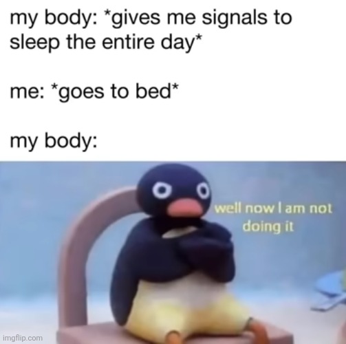 image tagged in sleep,pingu,stubborn,body | made w/ Imgflip meme maker