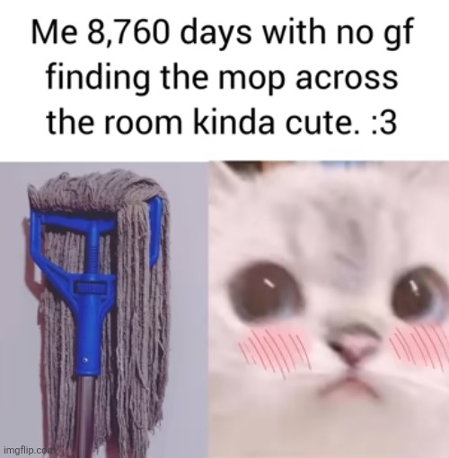 image tagged in mop,virgin,lonely,attractive,cleaning,cats | made w/ Imgflip meme maker