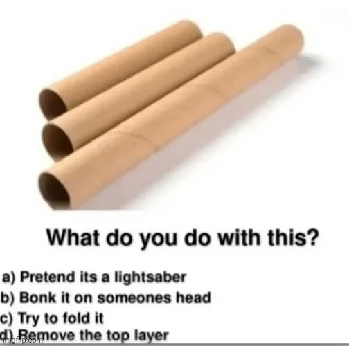 image tagged in paper towels,toilet paper,questions,bonk,cardboard,tube | made w/ Imgflip meme maker