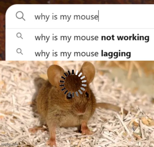 squ... ...eak | image tagged in memes,loading,mice,animals,lag,oh wow are you actually reading these tags | made w/ Imgflip meme maker