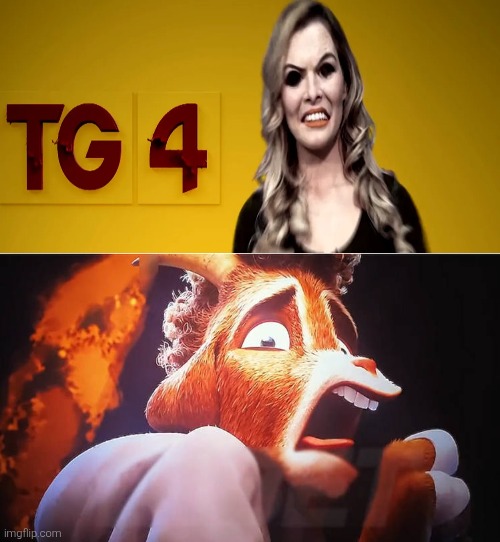 The presenter from TG4 (formerly known as TnaG) has a very scary makeover | image tagged in will harris scared at what,tg4,ireland,jumpscare,nightmare fuel,creepy | made w/ Imgflip meme maker