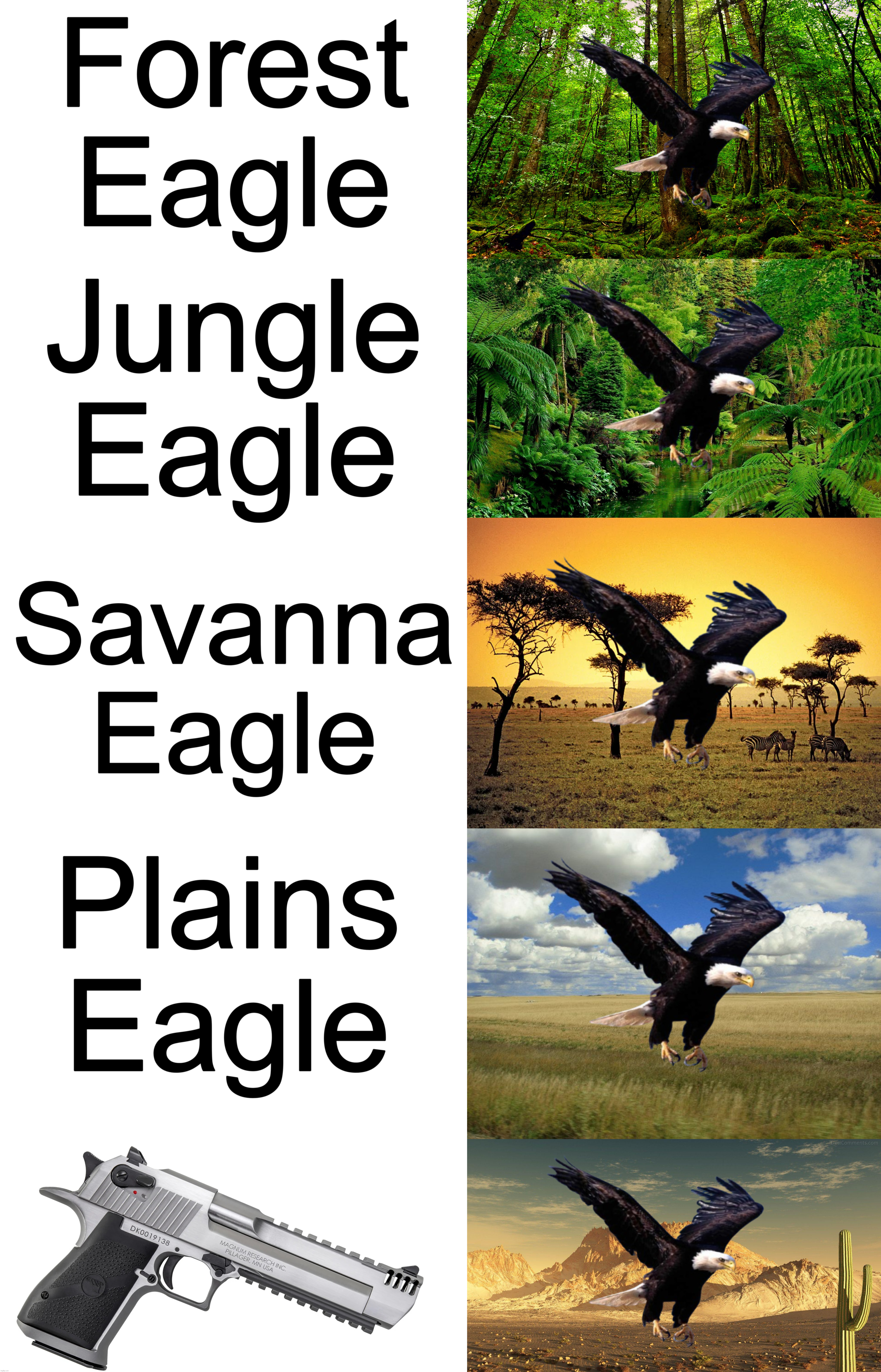 Deagle | Forest
Eagle; Jungle
Eagle; Savanna
Eagle; Plains
Eagle | image tagged in desert,eagle,pistol,gun,memes,reeeeeeeeeeeeeeeeeeeeee | made w/ Imgflip meme maker
