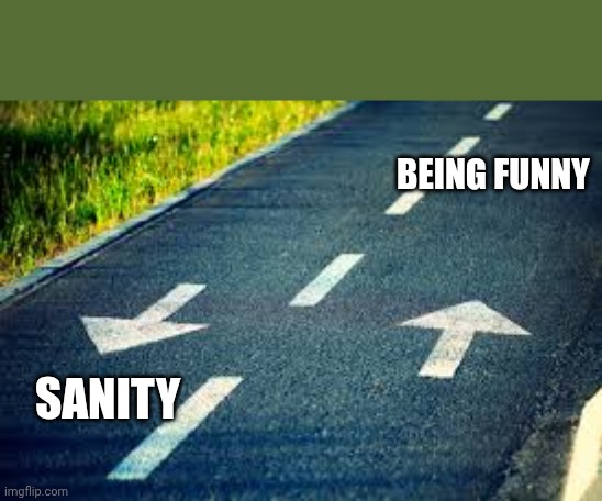 Two way street | Being funny; Sanity | image tagged in two way street | made w/ Imgflip meme maker