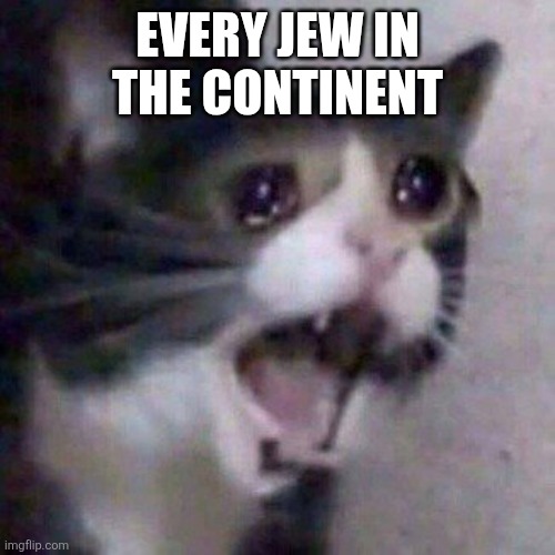 Screaming Cat meme | Every Jew in the continent | image tagged in screaming cat meme | made w/ Imgflip meme maker