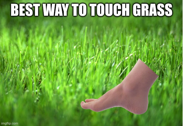I did this multiple times | Best way to touch grass | image tagged in grass is greener | made w/ Imgflip meme maker