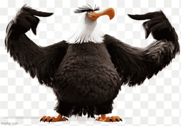 png-clipart-mighty-eagle-youtube-angry-birds-stella-angry-birds- | image tagged in png-clipart-mighty-eagle-youtube-angry-birds-stella-angry-birds- | made w/ Imgflip meme maker
