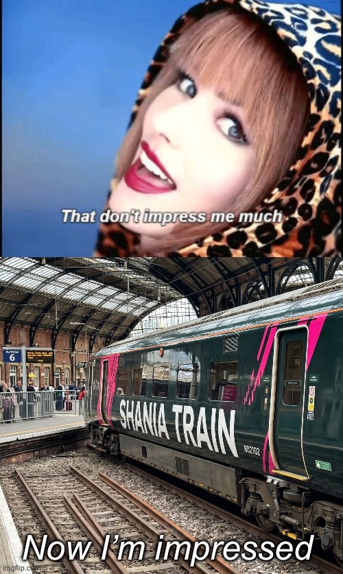 Shania Twain | Now I’m impressed | image tagged in shania twain - don't impress me much,unimpressed,train,bad pun | made w/ Imgflip meme maker