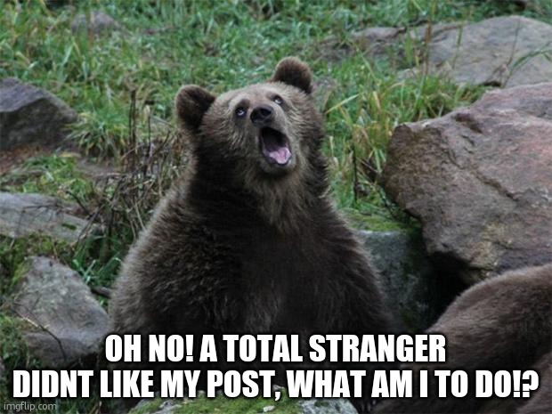 oh no! a total stranger didnt like my post, what am i to do!? | image tagged in sarcastic bear | made w/ Imgflip meme maker