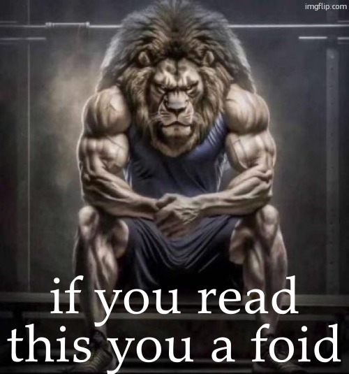 Buff lion sitting | if you read this you a foid | image tagged in buff lion sitting | made w/ Imgflip meme maker