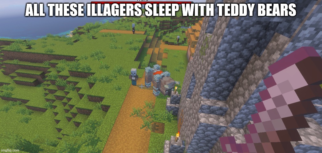 Illagers | All these illagers sleep with teddy bears | image tagged in illagers | made w/ Imgflip meme maker