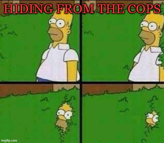 Homer Simpson in Bush - Large | hiding from the cops | image tagged in homer simpson in bush - large | made w/ Imgflip meme maker