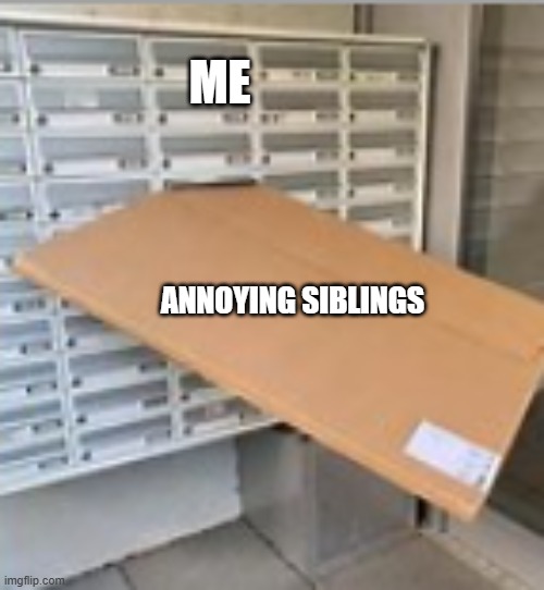 Idk | Me; Annoying siblings | image tagged in screenshot 2026-06-06 213258 png | made w/ Imgflip meme maker