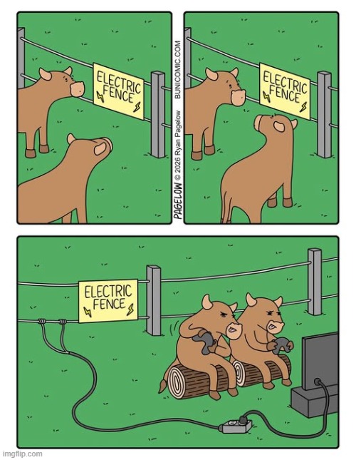 Boredom leads to creativity | image tagged in cows,bulls,electric fence,gaming | made w/ Imgflip meme maker