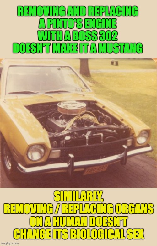removing and replacing
a pinto's engine
with a boss 302
doesn't make it a mustang; similarly,
removing / replacing organs
on a human doesn't
change its biological sex | made w/ Imgflip meme maker