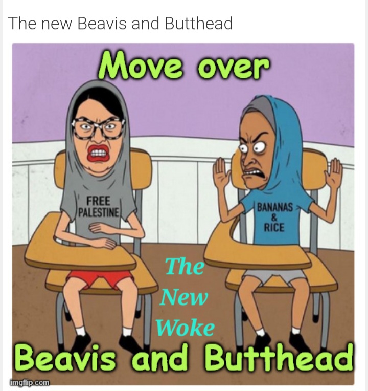 Woke Beavis and Butthead Blank Meme Template