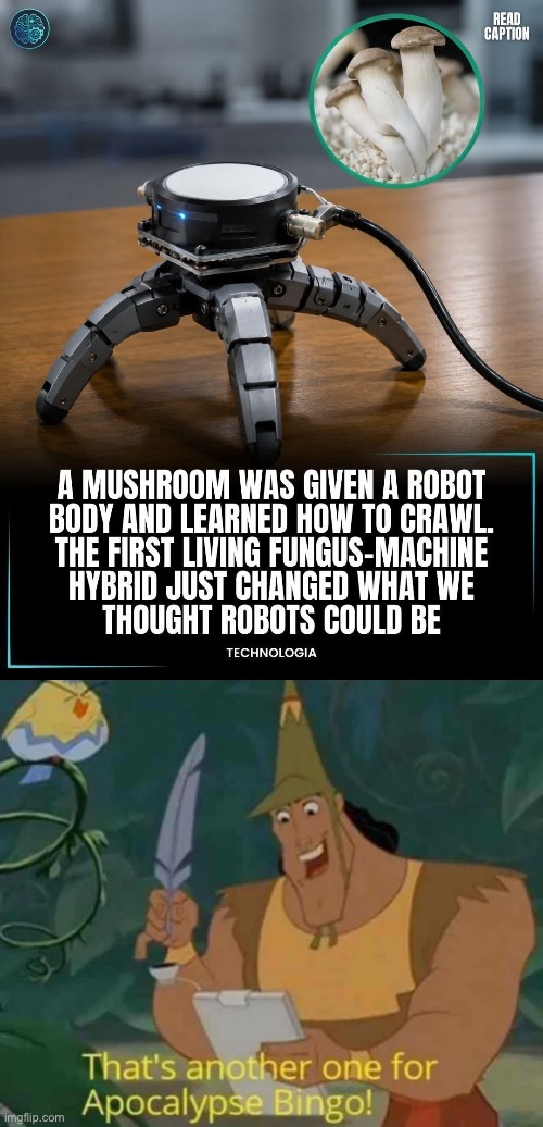Now the Mushrooms will Take Over | image tagged in that's another one for apocalypse bingo,robot,mushroom,sentient | made w/ Imgflip meme maker