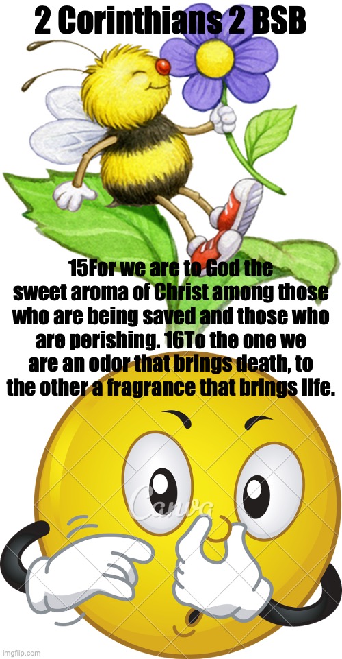 Triumph in Christ | 2 Corinthians 2 BSB; 15For we are to God the sweet aroma of Christ among those who are being saved and those who are perishing. 16To the one we are an odor that brings death, to the other a fragrance that brings life. | image tagged in an aroma from death to death,an aroma from life to life | made w/ Imgflip meme maker
