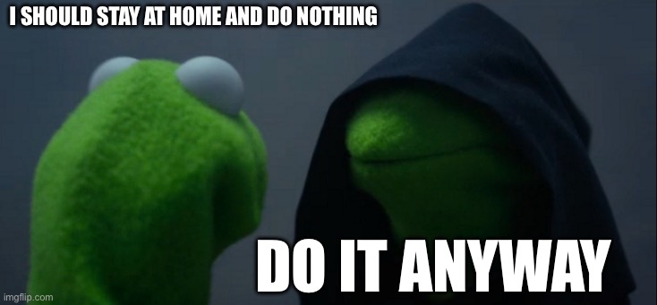 Evil Kermit | i should stay at home and do nothing; do it anyway | image tagged in memes,evil kermit | made w/ Imgflip meme maker