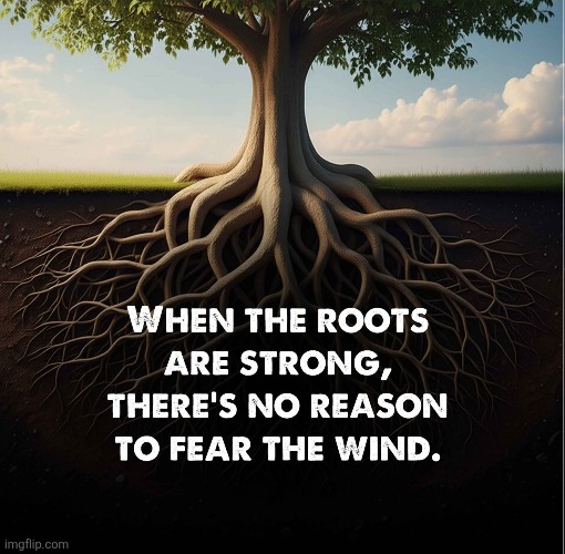 Be rooted in Christ | image tagged in deep,roots,strong tree,belief,jesus christ,savior | made w/ Imgflip meme maker