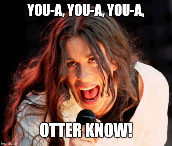 Alanis Morissette singing | You-a, you-a, you-a, Otter know! | image tagged in alanis morissette singing | made w/ Imgflip meme maker