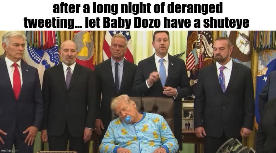 don't wake up Baby Dozo | after a long night of deranged tweeting... let Baby Dozo have a shuteye | image tagged in trump sleeping png | made w/ Imgflip meme maker
