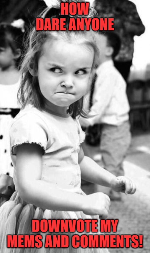 Angry Toddler Meme | How dare anyone downvote my mems and comments! | image tagged in memes,angry toddler | made w/ Imgflip meme maker
