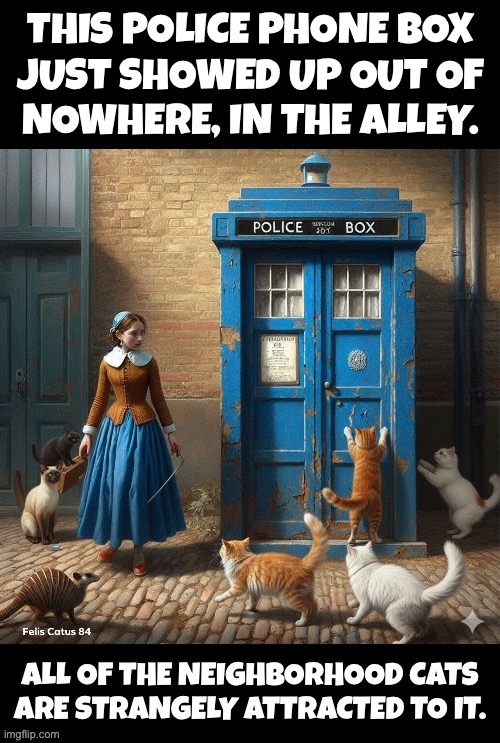 Their curiosity gets the best of them sometimes | This police phone box 
just showed up out of 
nowhere, in the alley. | image tagged in cats,alley,out of nowhere,doctor who,tardis,police box | made w/ Imgflip meme maker