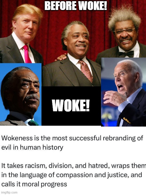 Wokeness, the most successful rebranding of evil in history! | Before woke! Woke! | image tagged in woke | made w/ Imgflip meme maker