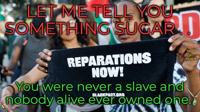 Nobody alive owned slaves. | image tagged in no free money,no reparations,nobody alive owned slaves,get a job,nobody alive was a slave | made w/ Imgflip meme maker