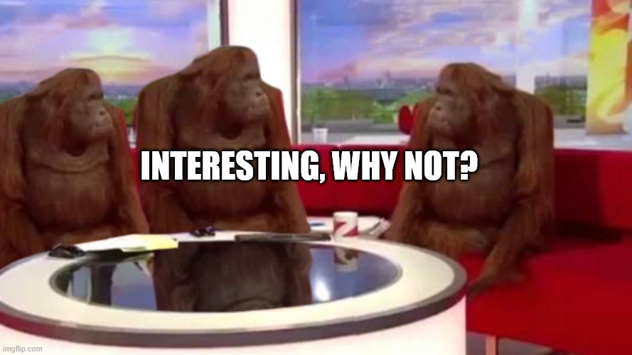 orangutan interview | INTERESTING, WHY NOT? | image tagged in orangutan interview | made w/ Imgflip meme maker