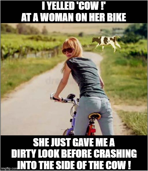 At Least I Tried ... | I yelled 'cow !'
at a woman on her bike; She just gave me a dirty look before crashing into the side of the cow ! | image tagged in woman,bicycle,cow,warning,crash | made w/ Imgflip meme maker