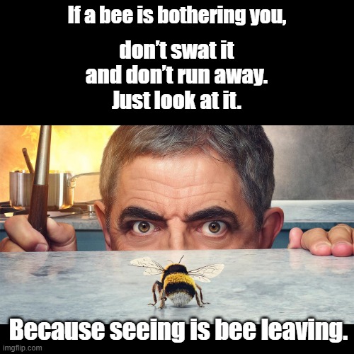 Bee Leaving | If a bee is bothering you, don’t swat it 
and don’t run away.
Just look at it. Because seeing is bee leaving. | image tagged in black square,bees,puns | made w/ Imgflip meme maker