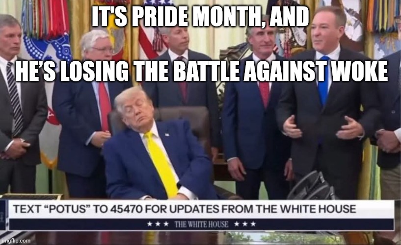 Dementia Don needs to retire | It's pride month, and; He’s losing the battle against woke | image tagged in donald trump sleeping on the job,trump unfit unqualified dangerous,woke,pride month,homer simpson sleeping peacefully | made w/ Imgflip meme maker