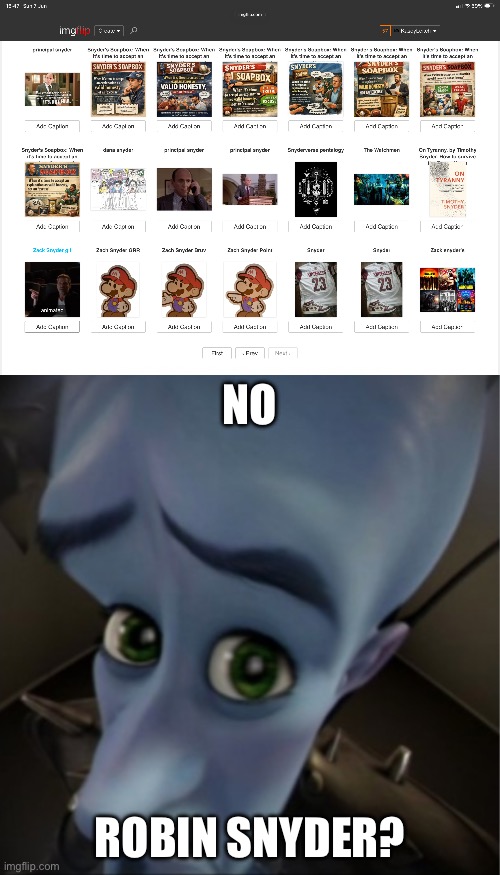 Seems like nobody here has heard of Robin Snyder (from PPG) | NO; ROBIN SNYDER? | image tagged in megamind peeking,robin snyder,powerpuff girls,disappointment,zad | made w/ Imgflip meme maker