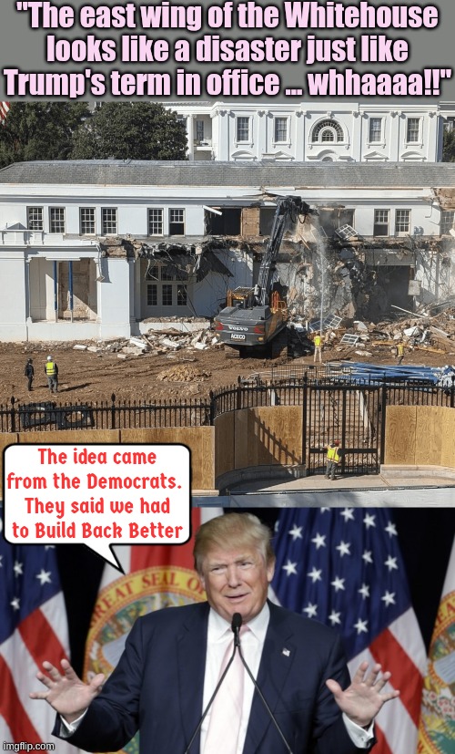 It's time to Build Back Better and this is the term to do it in | "The east wing of the Whitehouse looks like a disaster just like Trump's term in office ... whhaaaa!!"; The idea came from the Democrats. 
They said we had to Build Back Better | image tagged in trump ballroom demolishing east wing flotus,trump explains | made w/ Imgflip meme maker