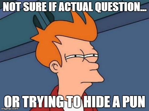 Futurama Fry Meme | NOT SURE IF ACTUAL QUESTION... OR TRYING TO HIDE A PUN | image tagged in memes,futurama fry | made w/ Imgflip meme maker