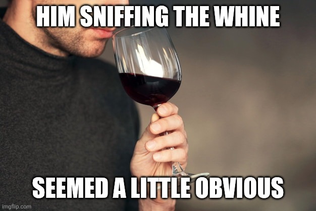 Sniffing the wine | Him sniffing the whine Seemed a little obvious | image tagged in sniffing the wine | made w/ Imgflip meme maker