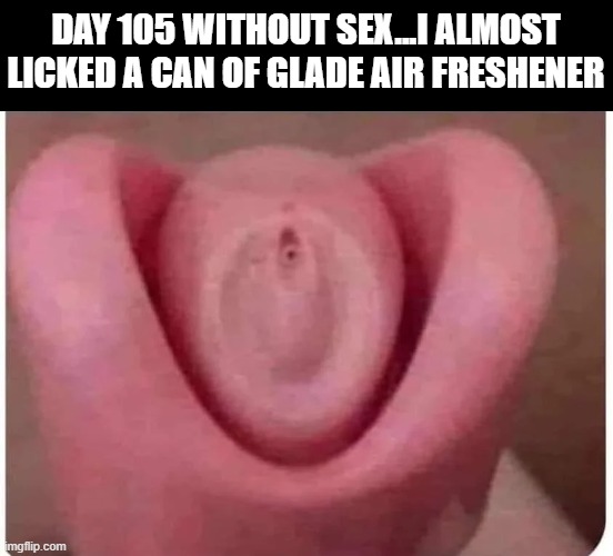 Lick It | Day 105 without sex...I almost licked a can of glade air freshener | image tagged in 40u01xes2o5h1 webp,sex jokes | made w/ Imgflip meme maker