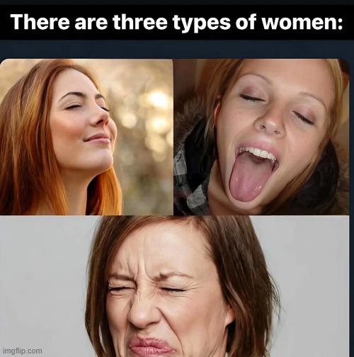 Which One Is Best | image tagged in sex jokes | made w/ Imgflip meme maker