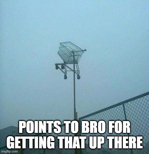 Shopping Cart Heights | Points to bro for getting that up there | image tagged in funny,memes | made w/ Imgflip meme maker