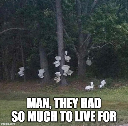 Toitycide | Man, they had so much to live for | image tagged in cursed image | made w/ Imgflip meme maker
