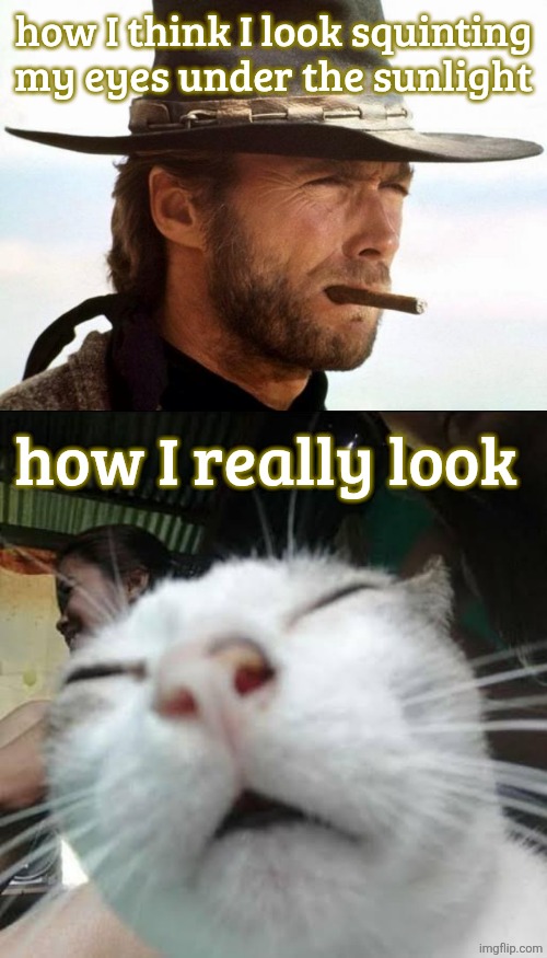 how I think I look squinting my eyes under the sunlight; how I really look | image tagged in clint eastwood,squinting eyes cat | made w/ Imgflip meme maker